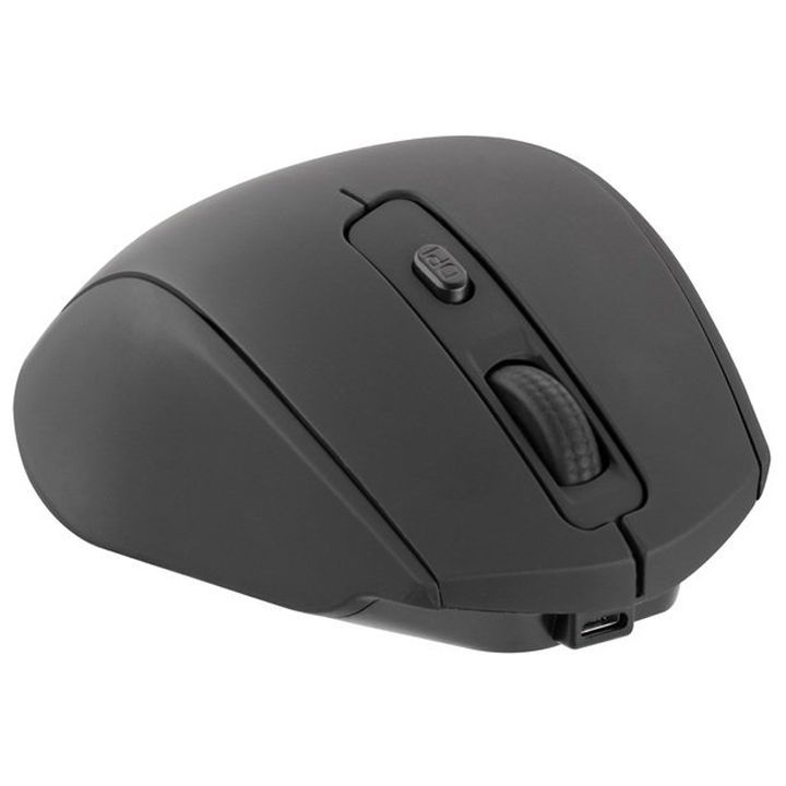 2e-mf2010-black-usadeno-mausi-photo-3