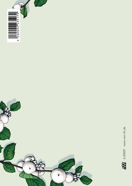 misalotsi-barati-binilo-photo-2