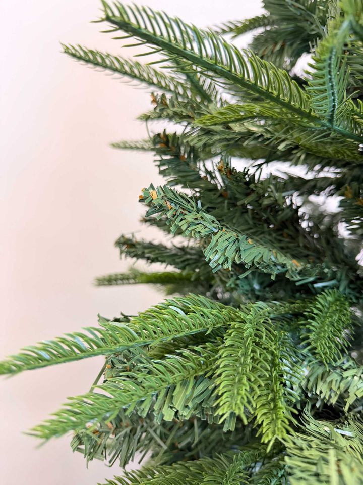 ctrim-nadzvis-khe-shereuli-tsitsvebit-photo-4