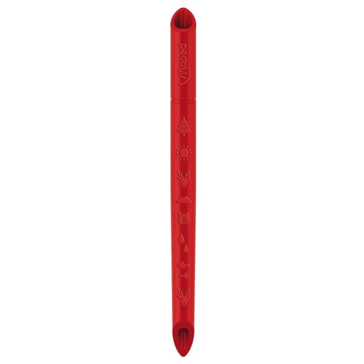 maped-school-peps-innovation-feradi-fanqrebi-72-tsali-photo-2