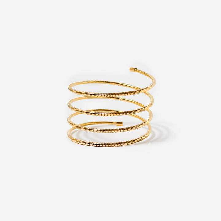 titanis-mooqrovili-samajuri