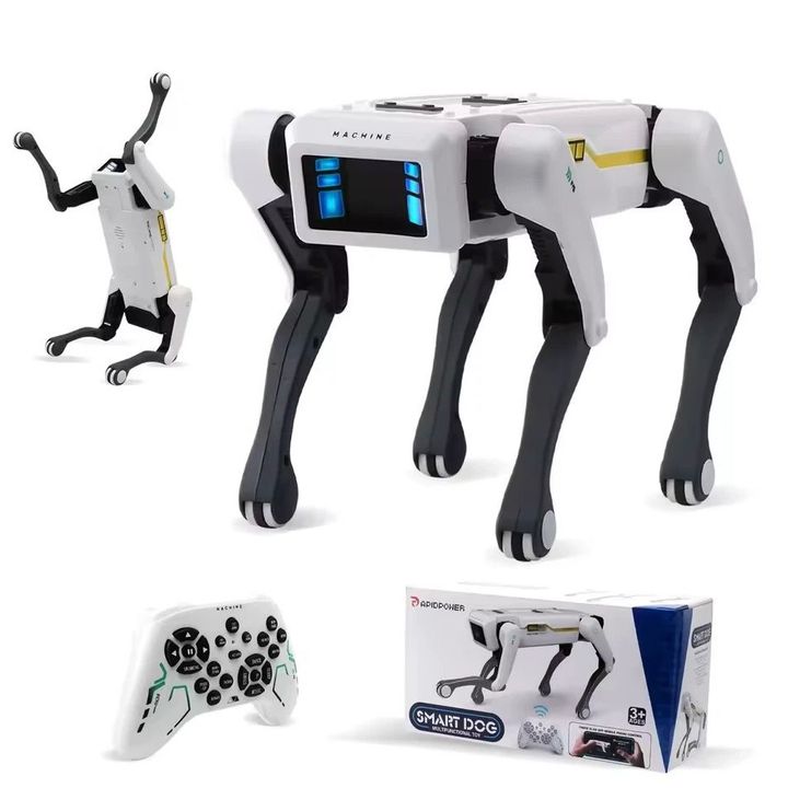 rapidpower-rd07-interaqtiuli-roboti-dzaghli