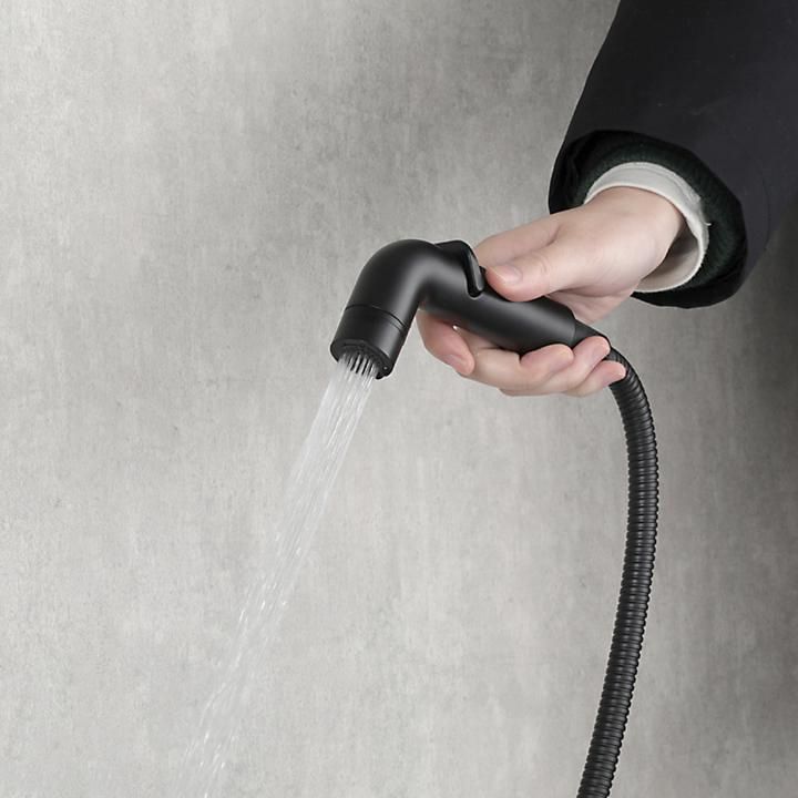 higienuri-shkhapi-shemrevit-frud-r7505-6-black-photo-2