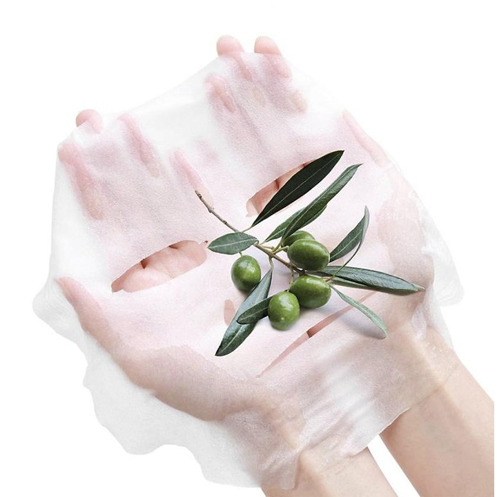 farm-stay-real-olive-essence-sakhis-nighabi-photo-2