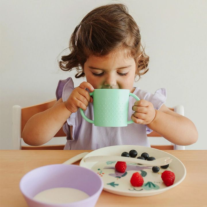 miniland-mealset-dream-sabavshvo-churchlis-nakrebi-photo-4