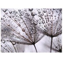 Product image of შპალერი FTM 0494 after rain 1.15X1.6 მ