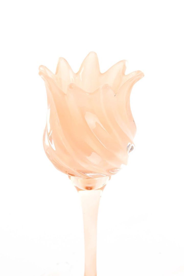 laboratory-my-home-sasantle-photo-2