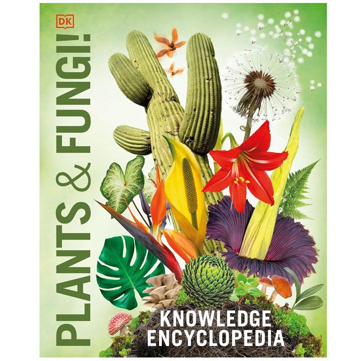 mtsenareebi-da-sokoebi---tsodnis-entsiklopedia