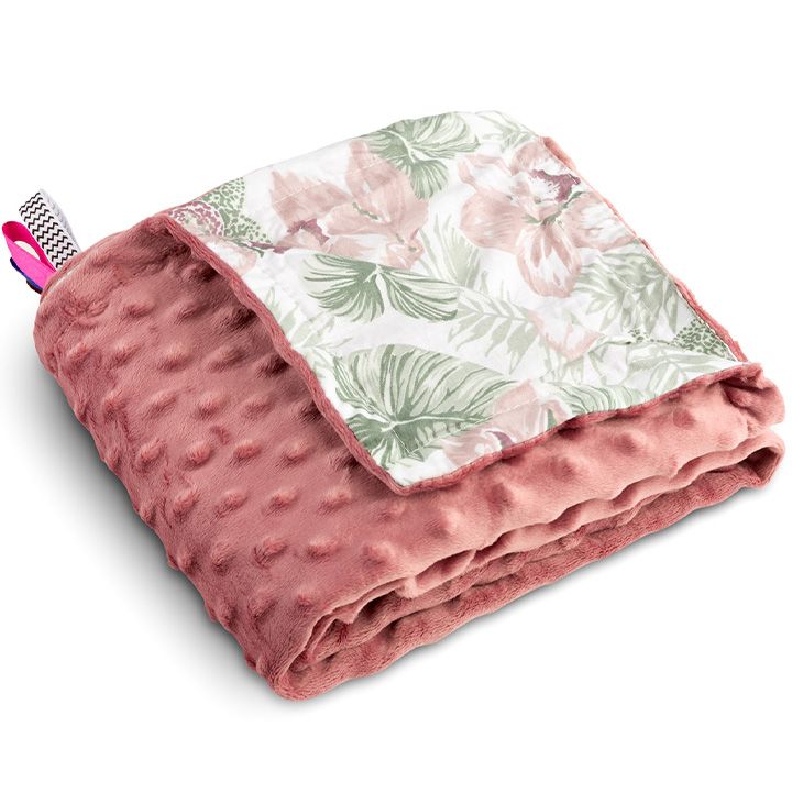 sensillo-sabavshvo-pledi