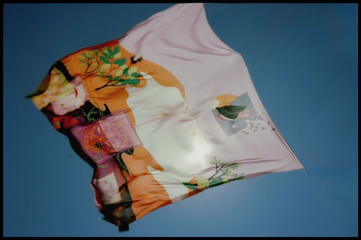 dae-sharfi-kontrolis-iluzia-photo-2