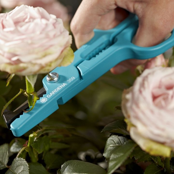 gardena-vardis-makrateli-flower-gatherer-photo-2