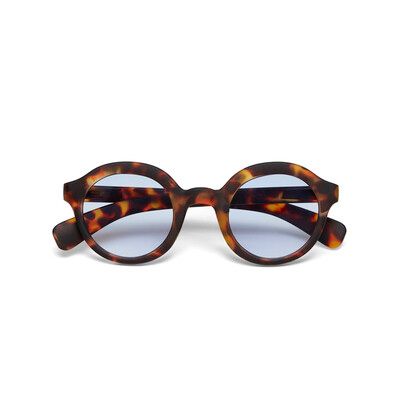 okkia-lauro-classic-havana-mzis-satvale