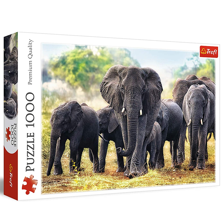 trefl-african-elephants-fazli