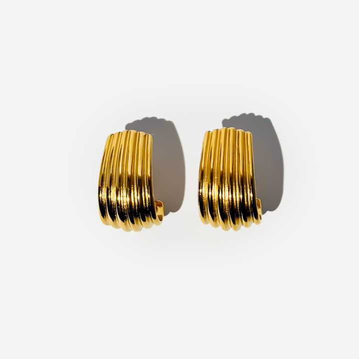 titanis-mooqrovili-saqure