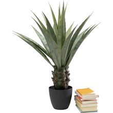 Product image of KARE ხელოვნური მცენარე