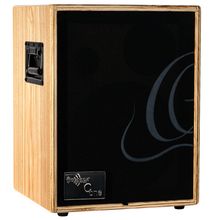 Product image of Ortega Cone-Ash Accoustic Combo 100w 2 Cn, Rev/Chorus, Mic/Line Ash Wood, Incl Cover გიტარის კომბი