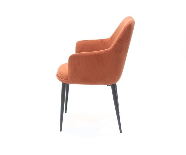 laboratory-my-home-savardzeli-photo-2