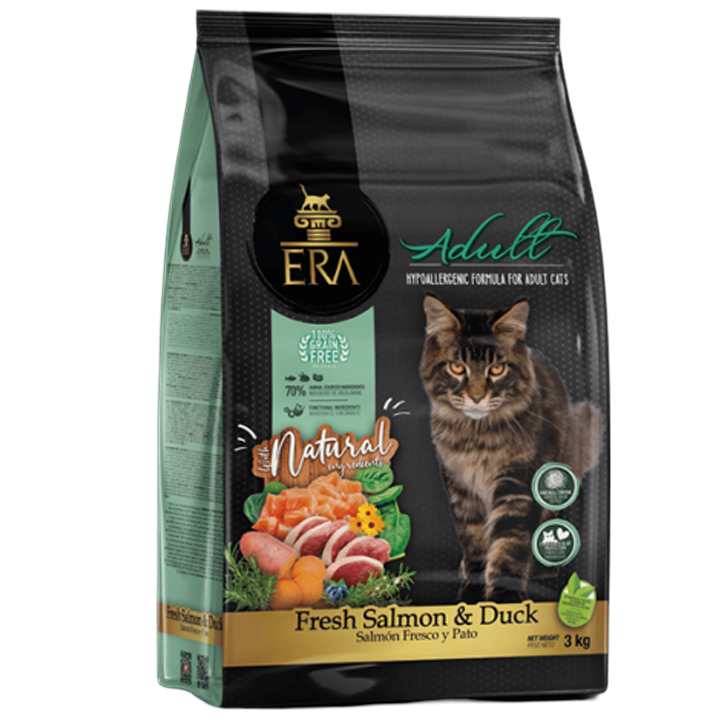 era-millenium-katis-sakvebi