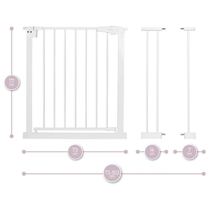 momi-moajiri-photo-3