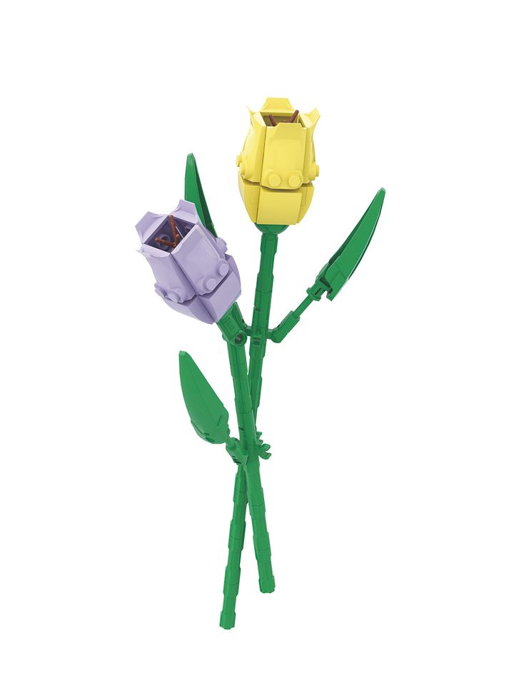 asatsqobi-satamashotulip-building-blocks