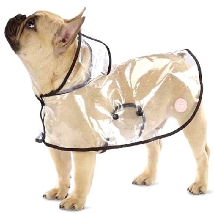 dzaghlis-satsvimari-l