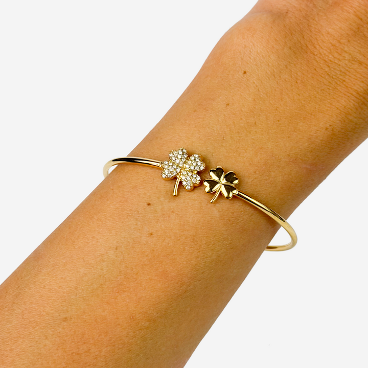 titanis-mooqrovili-samajuri