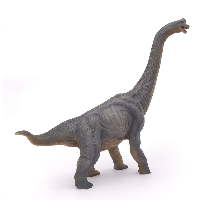 papo-braqiozavri-photo-2