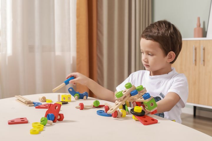 viga-khis-satamasho-konstruqtori-photo-3