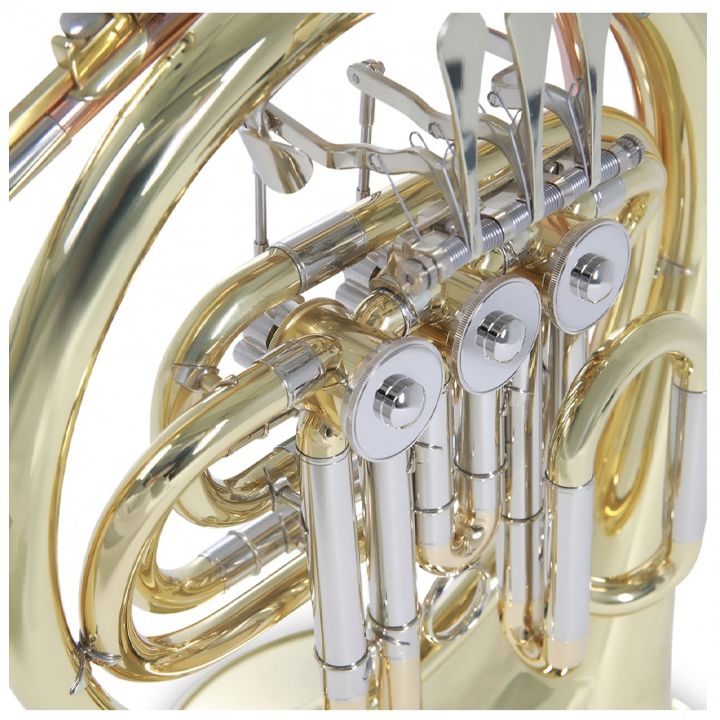 roy-benson-hr-212-b-sabavshvo-saqviri-photo-2