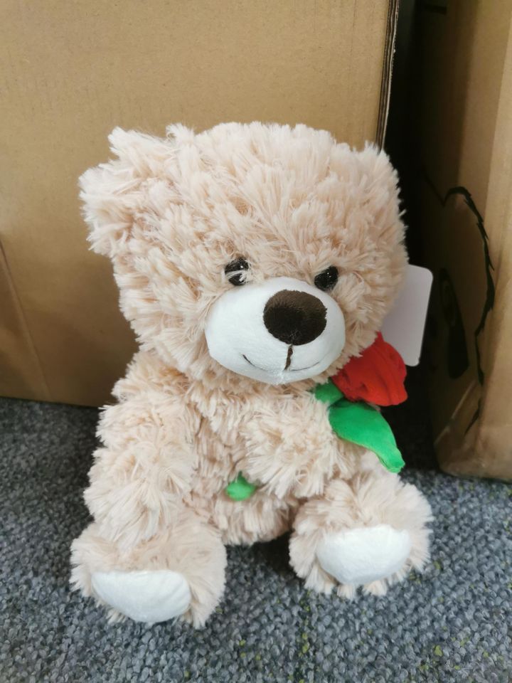 holding-rose-little-bear-plush-toy-rbili-satamasho