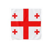 Product image of BANDANA GEO FLAG ბენდენა