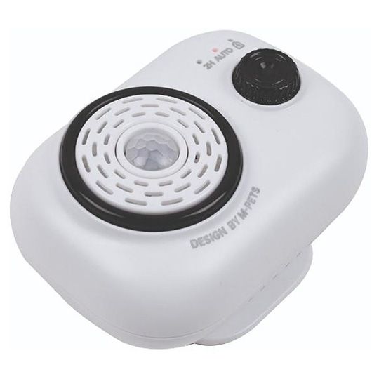 m-pets-haeris-gamtsmendi-photo-3