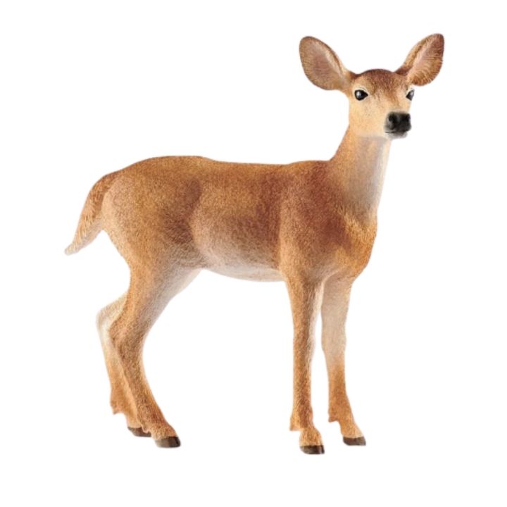 schleich-white-tailed-deer-satamasho-figura