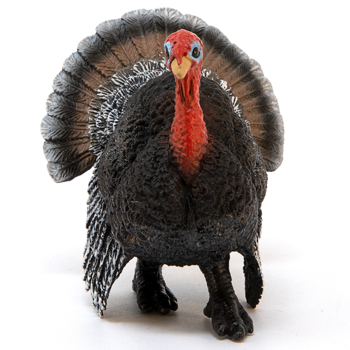 schleich-turkey-indauri