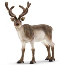 Product image of SCHLEICH Reindeer ირემი