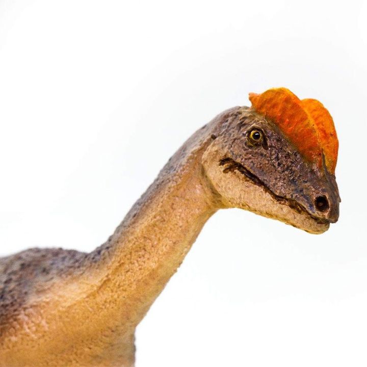 safari-dilophosaurus-satamasho-figura-photo-4