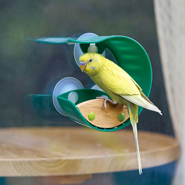 hape-window-bird-feeder-khis-satamasho-photo-3