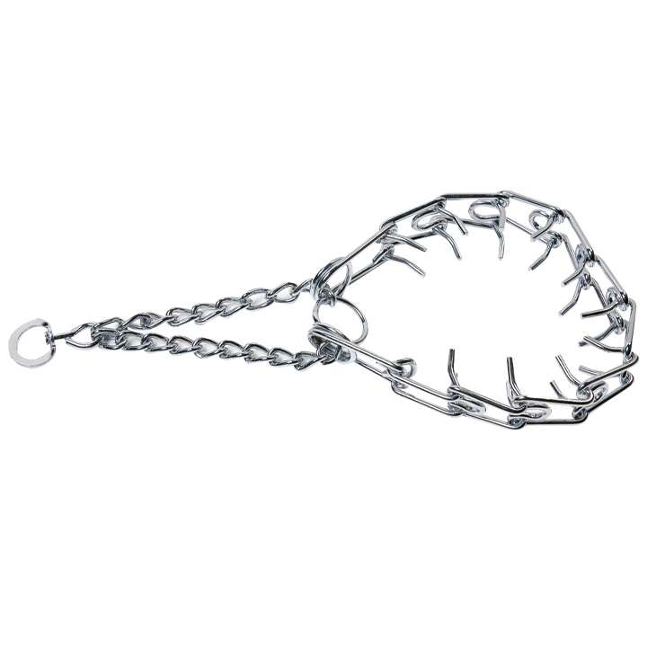 flamingo-dzaghlis-saqeluri-jachvi