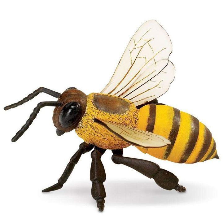 safari-honey-bee-satamasho-figura-photo-3