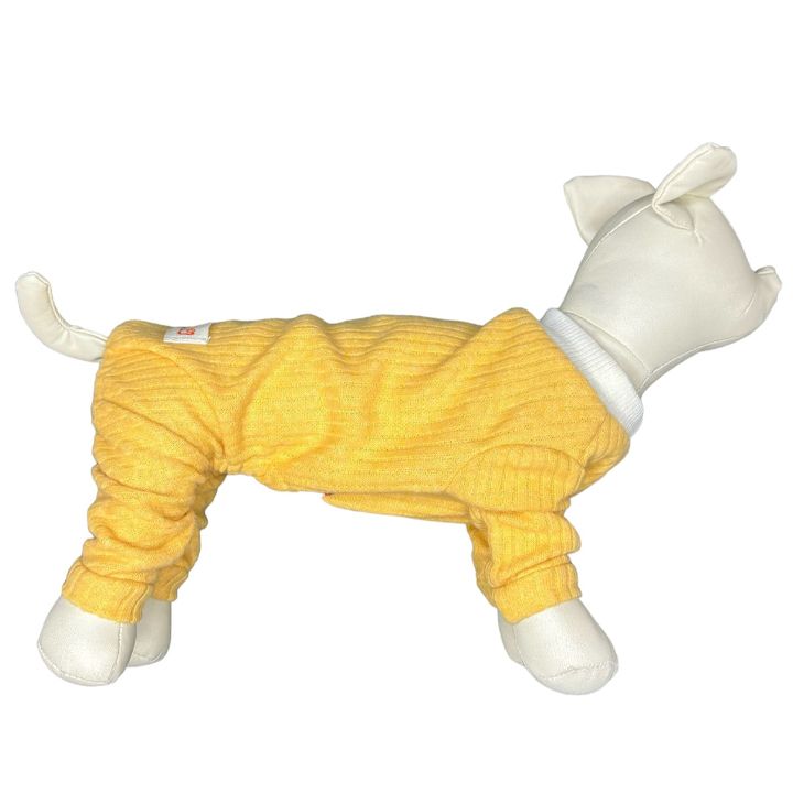 petsup-dzaghlis-katis-tansatsmeli