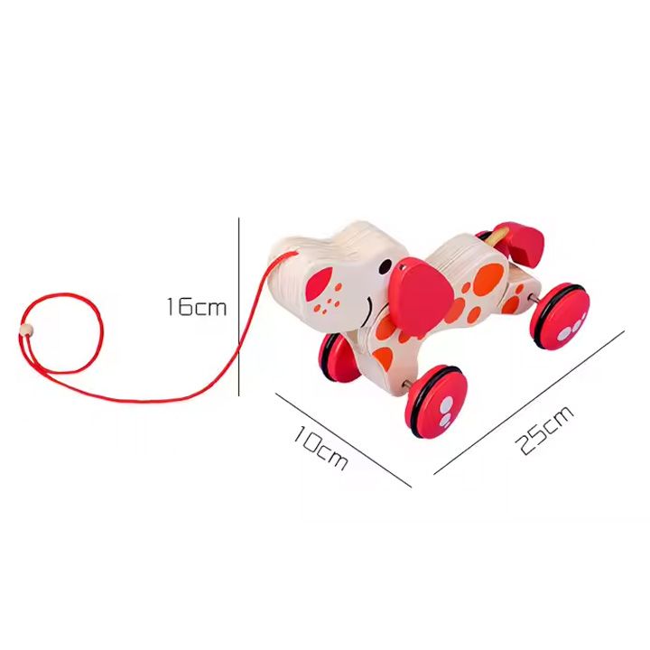 pulling-dog-khis-satamasho-dzaghli-photo-3