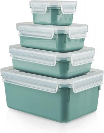 nakrebi-sakvebi-konteinerebis-mtsvane-master-seal-color-edition-tefal-n1031010