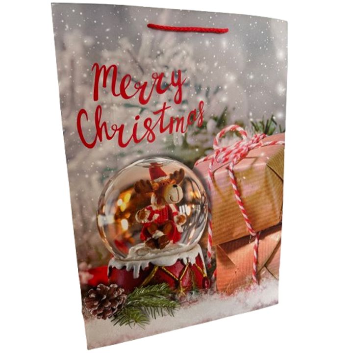 saakhaltslo-sasachuqre-chanta-merry-christmas-photo-2