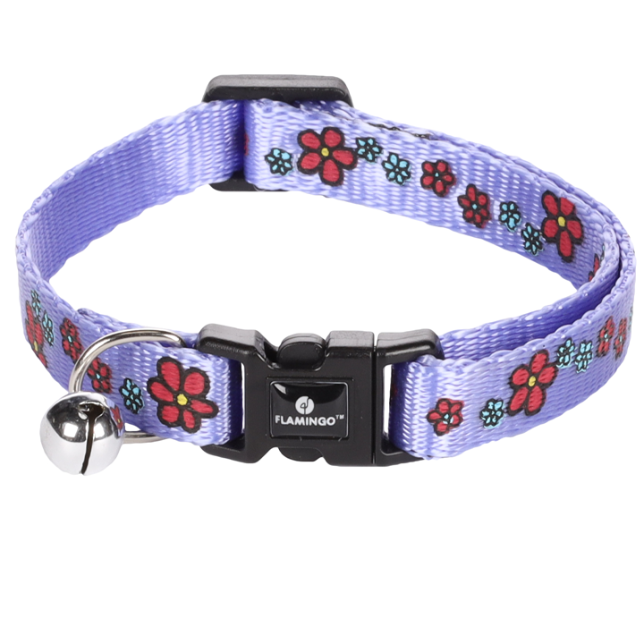 flamingo-katis-saqelo-photo-2