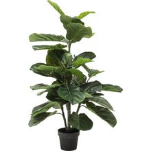 Product image of KARE ხელოვნური მცენარე