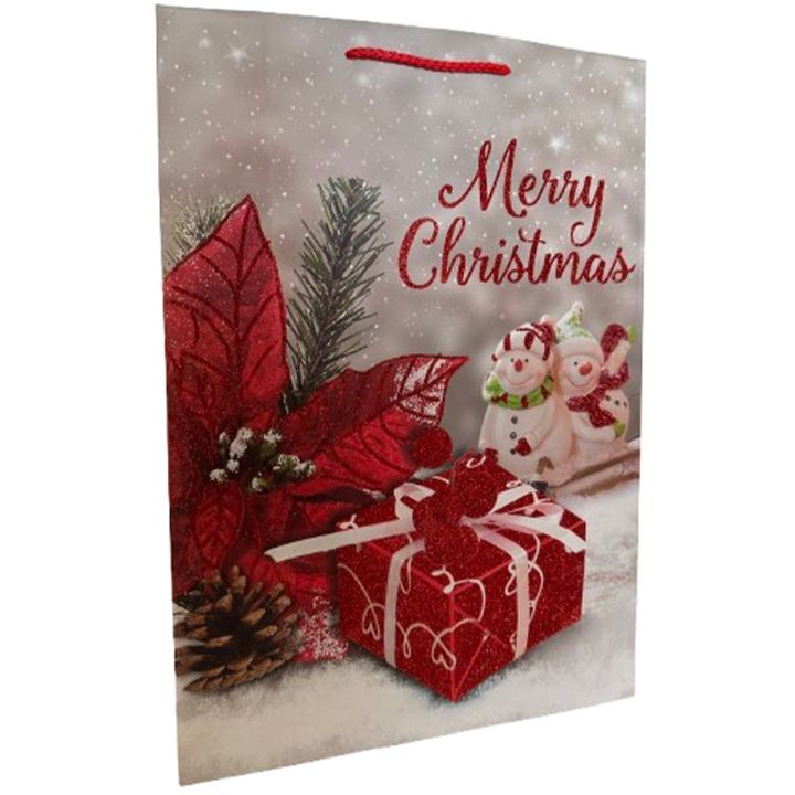 saakhaltslo-sasachuqre-chanta-merry-christmas-photo-3