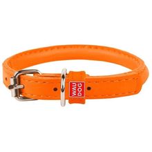 Product image of COLLAR ძაღლის საყელო