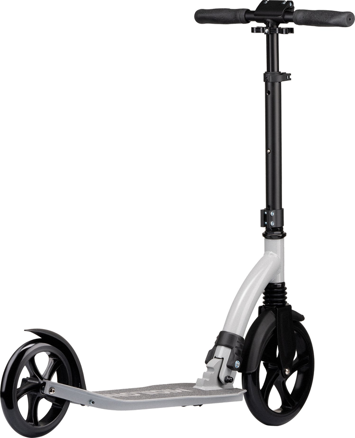 skuteri-miqilong-beagle-200-gray-photo-2