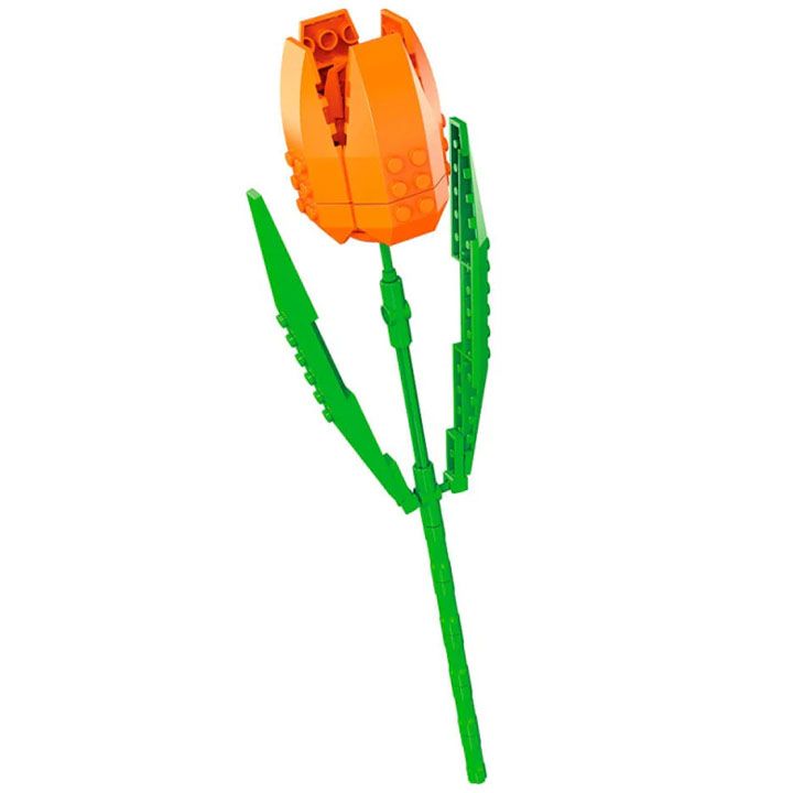 eureka-kids-tulip-satamasho-asatsqobi-qvavili-photo-2