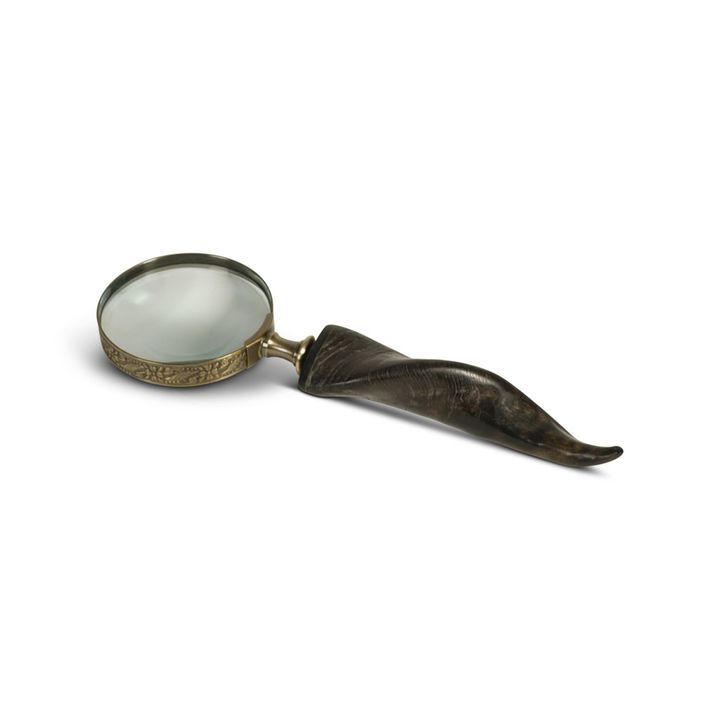 laboratory-my-home-gamadidebeli-minda-photo-2